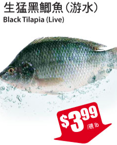 tnt-fish-sale