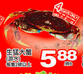 tnt-special-crab