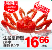 tnt-crab-king