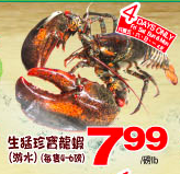 tnt-lobster-jumbo
