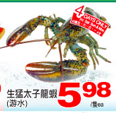 tnt-lobster-small
