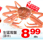 tt-ice-crab