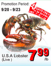 tnt-lobster-sales