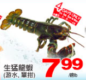 lobster-tnt