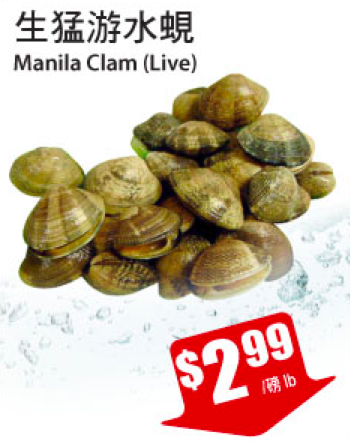 tnt-clam