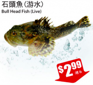 tnt-crazy-rock-fish-sale