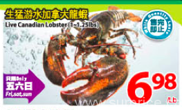 tnt-lobster-ontario