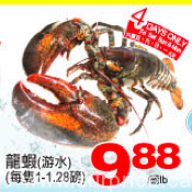 tnt-weekly-lobster-jan
