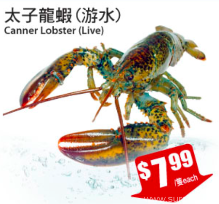 tnt-lobster-crazy-sale