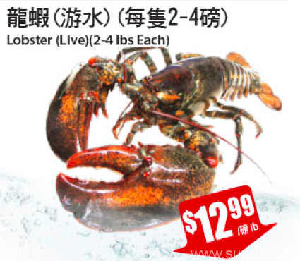 tnt-lobster-weekly