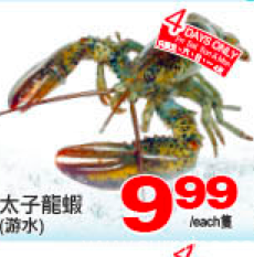 tnt-weekly-special-on-lobster-sale