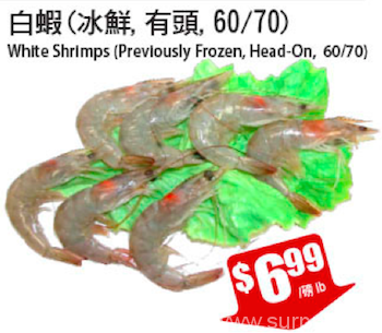 tnt-white-shrimp-headon