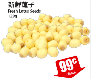 tnt-crazy-sale-lotus-seeds-a