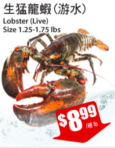 tnt-lobster