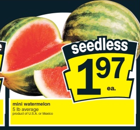 no-frills-watermelon