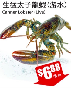 tnt-lobster-sale