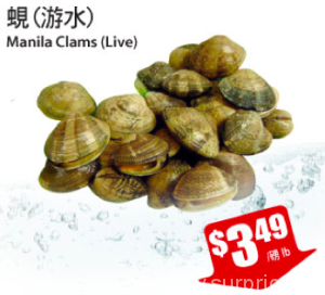 tnt-crazy-sale-on-clam
